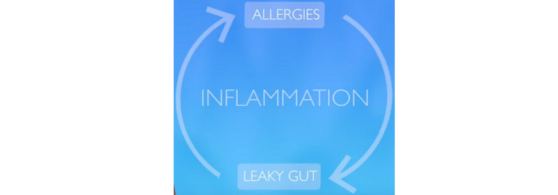 diagram showing circular relationshipbetween gut health and allergies