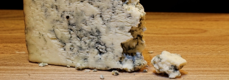 mouldy cheese that can cause mould biotoxin illness